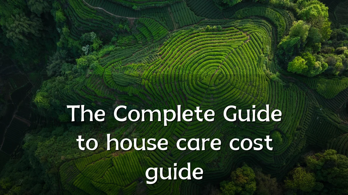 The Complete Guide to house care cost guide