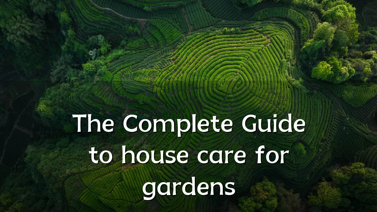 The Complete Guide to house care for gardens