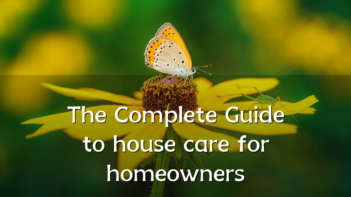 The Complete Guide to house care for homeowners