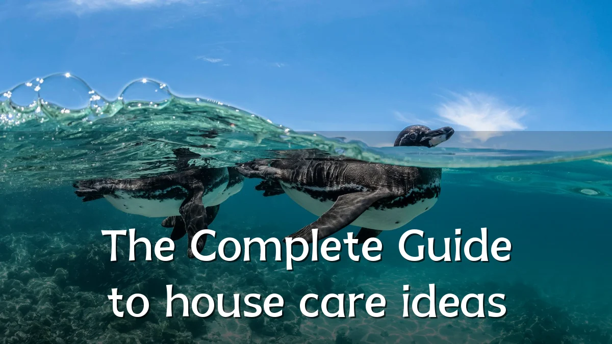 The Complete Guide to house care ideas
