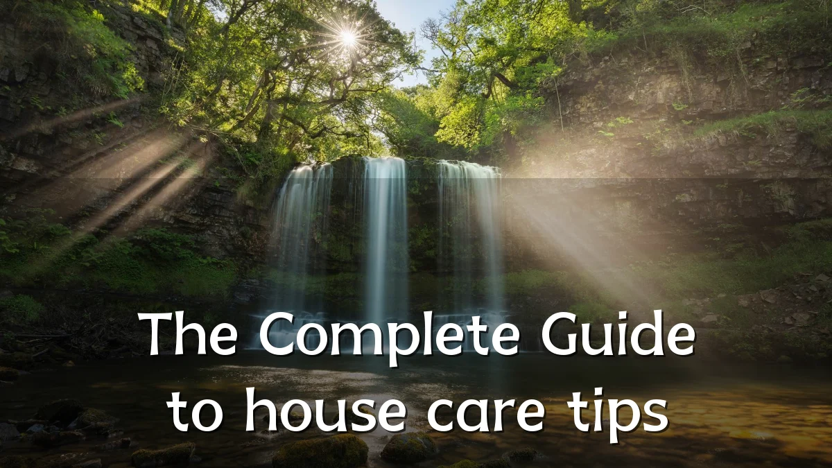 The Complete Guide to house care tips
