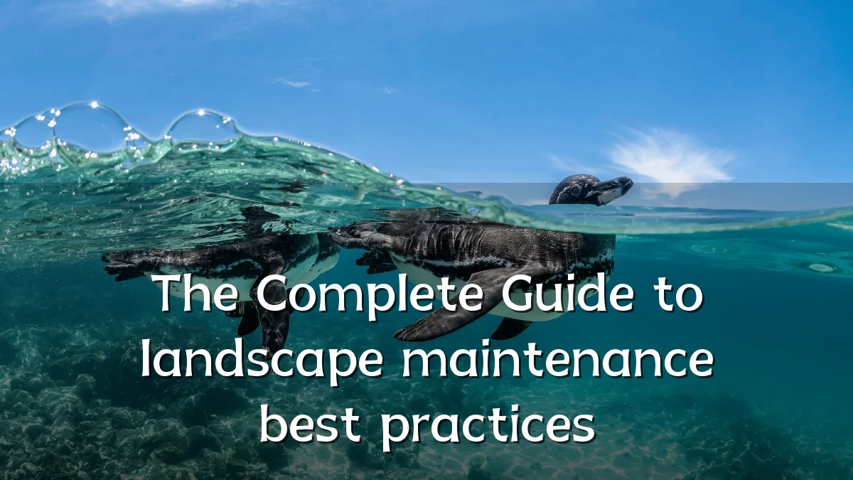 The Complete Guide to landscape maintenance best practices