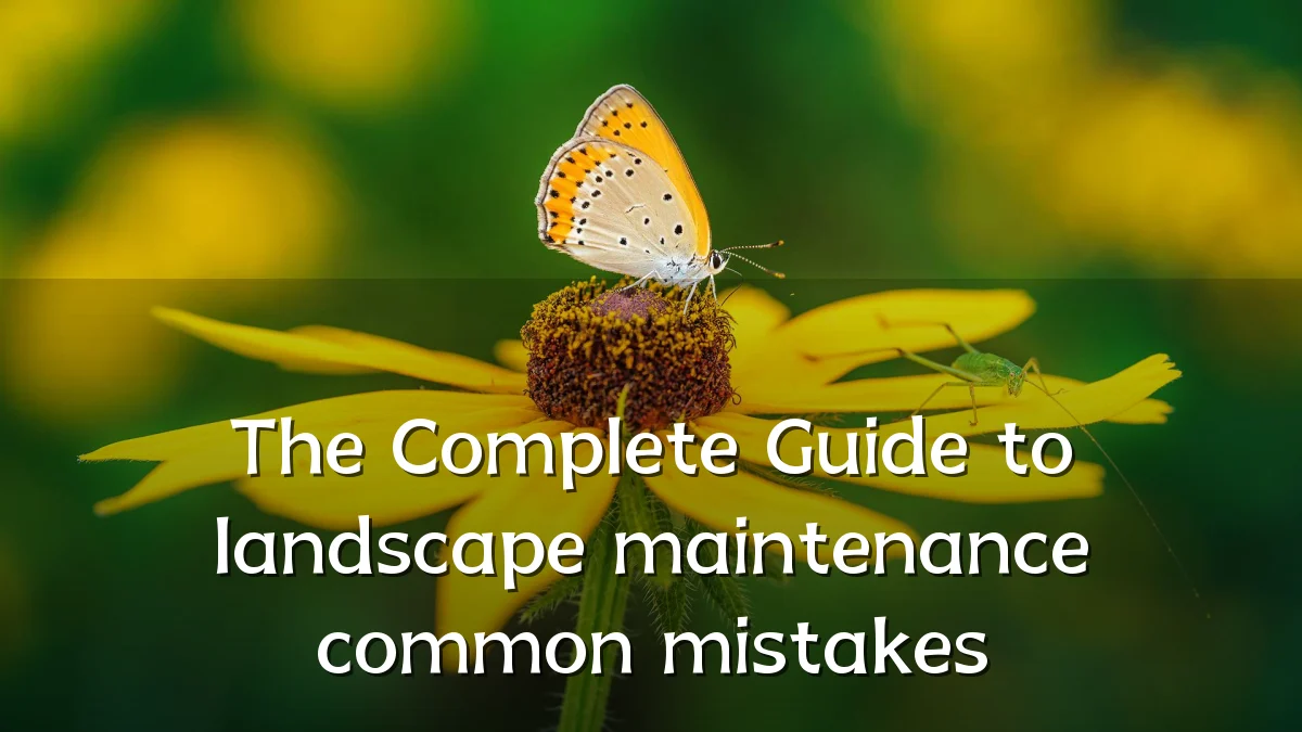The Complete Guide to landscape maintenance common mistakes