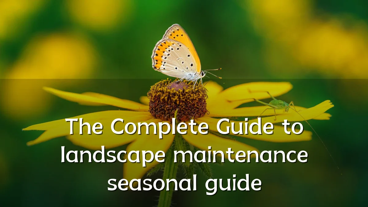 The Complete Guide to landscape maintenance seasonal guide