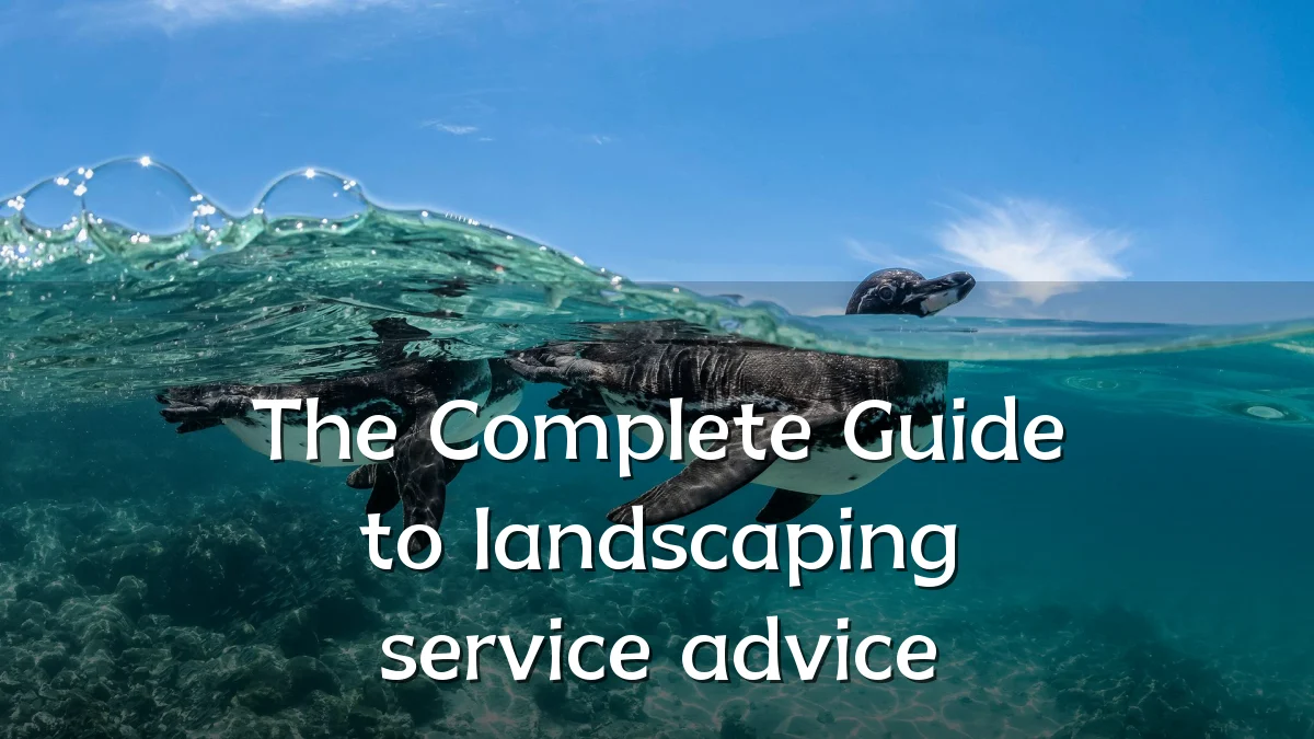 The Complete Guide to landscaping service advice