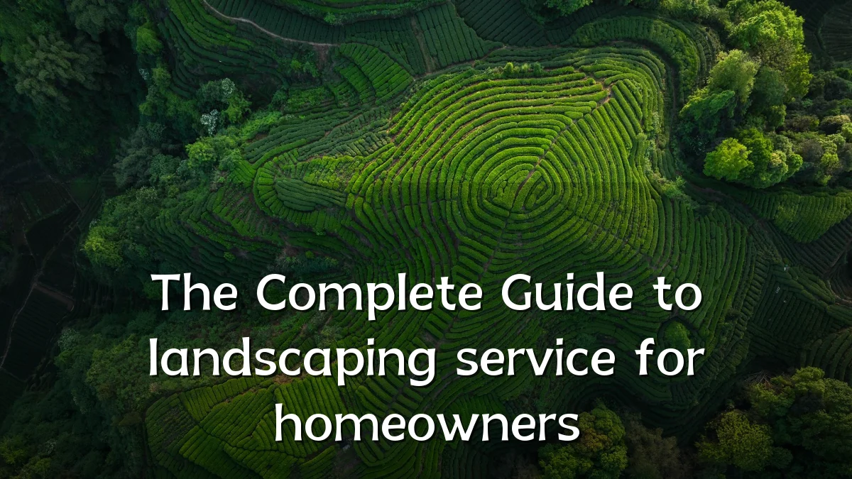 The Complete Guide to landscaping service for homeowners