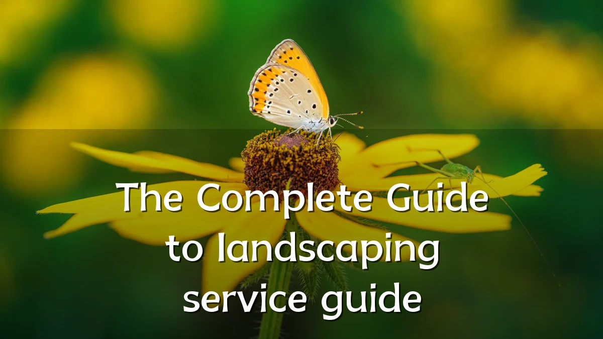 The Complete Guide to landscaping service guide