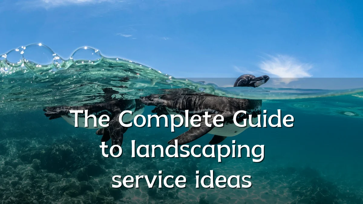 The Complete Guide to landscaping service ideas