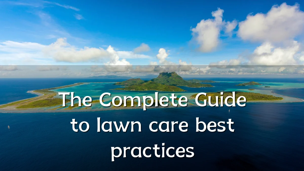 The Complete Guide to lawn care best practices