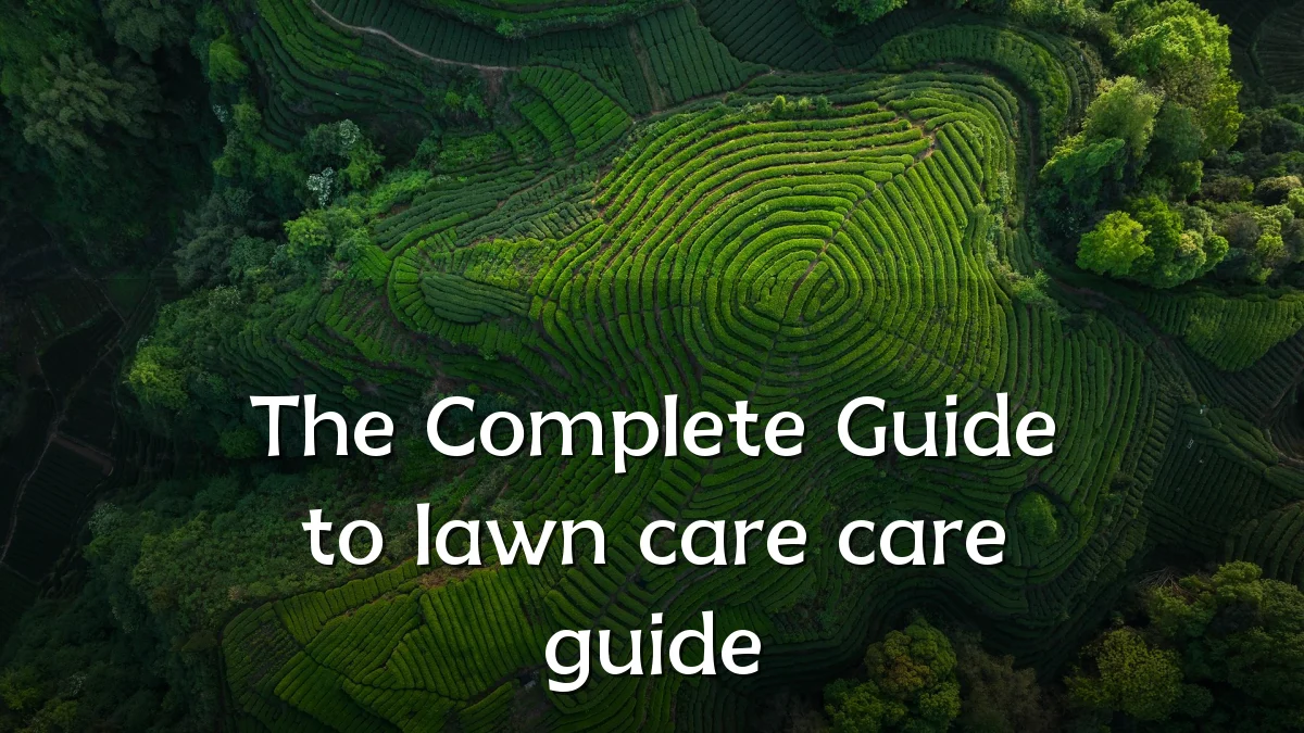The Complete Guide to lawn care care guide