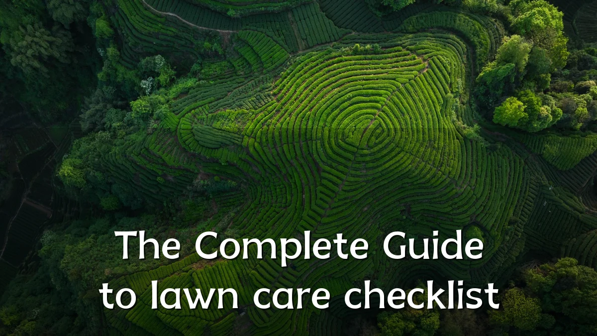 The Complete Guide to lawn care checklist
