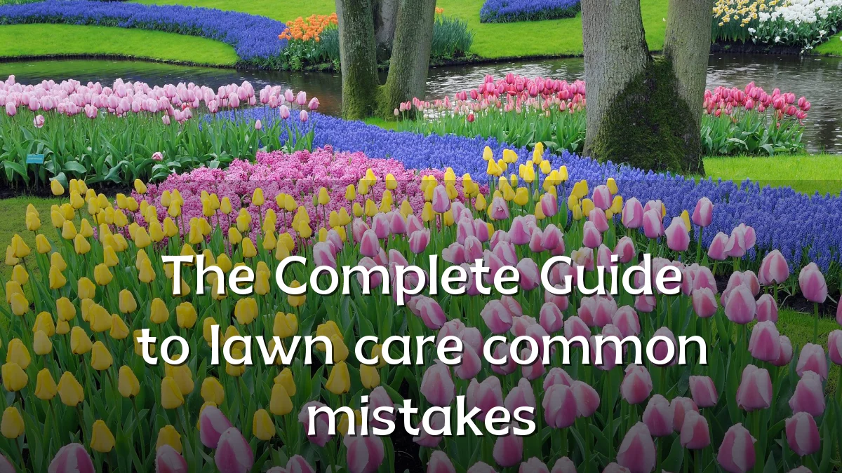 The Complete Guide to lawn care common mistakes