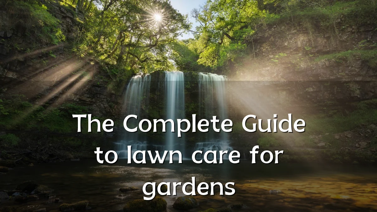 The Complete Guide to lawn care for gardens