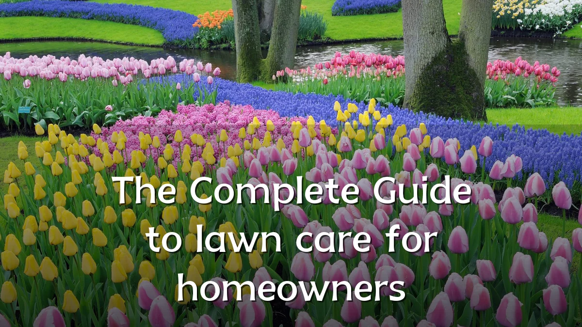 The Complete Guide to lawn care for homeowners