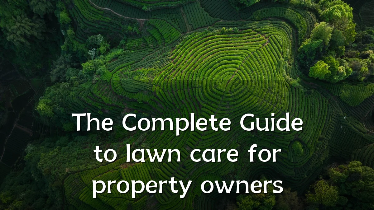 The Complete Guide to lawn care for property owners