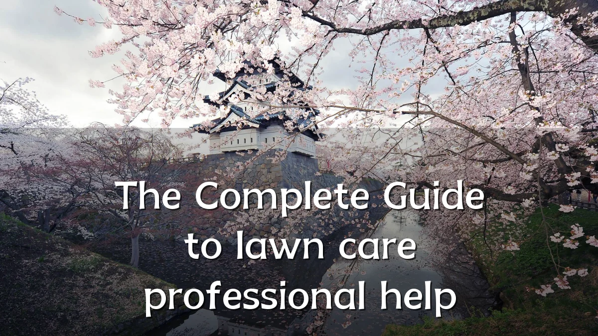 The Complete Guide to lawn care professional help