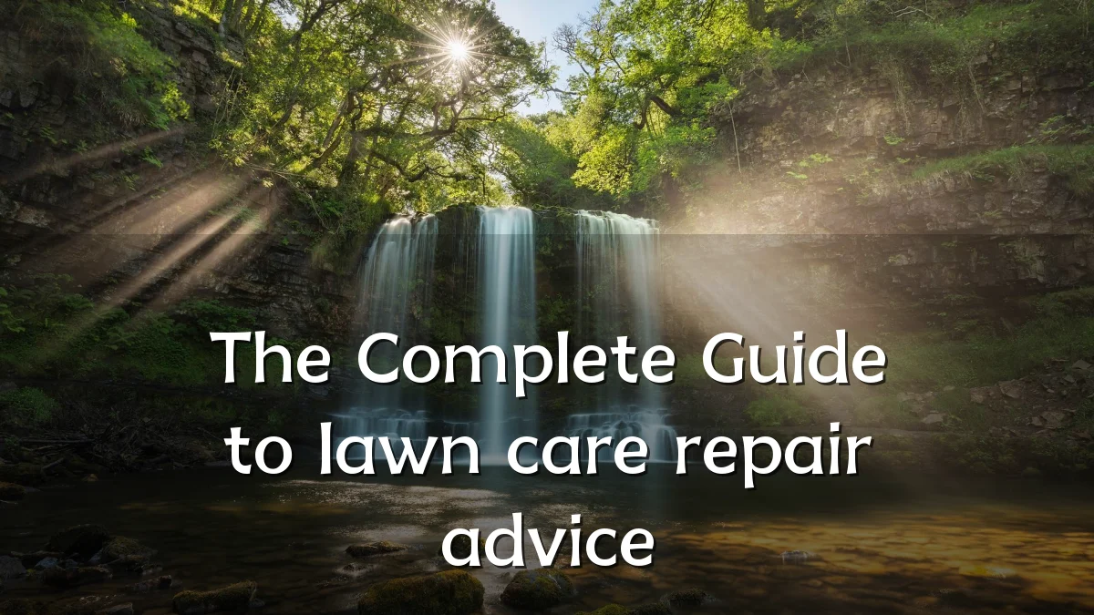 The Complete Guide to lawn care repair advice