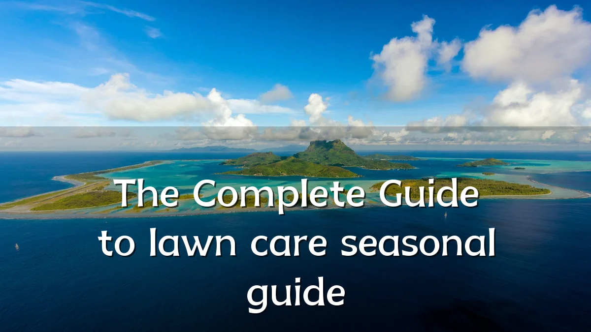 The Complete Guide to lawn care seasonal guide
