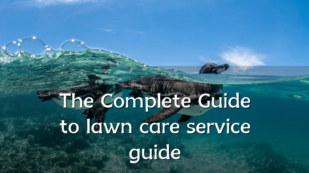 The Complete Guide to lawn care service guide