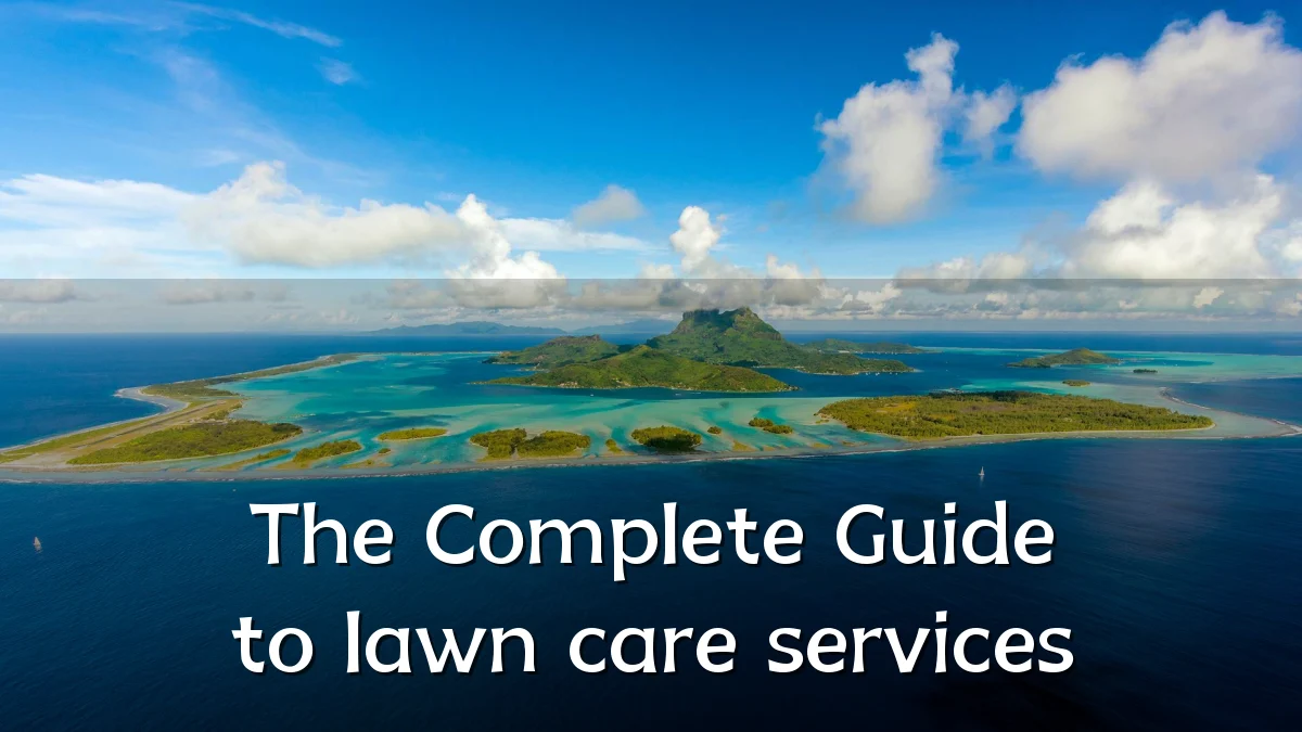 The Complete Guide to lawn care services