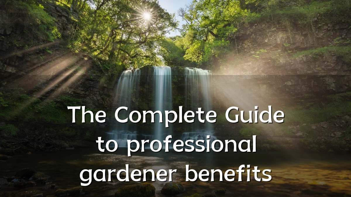 The Complete Guide to professional gardener benefits