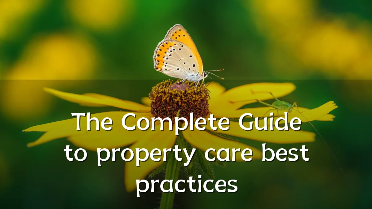 The Complete Guide to property care best practices