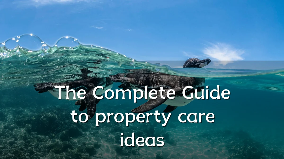 The Complete Guide to property care ideas