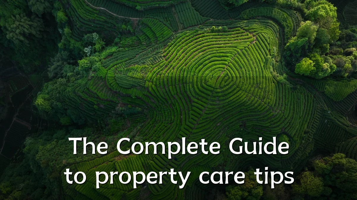 The Complete Guide to property care tips