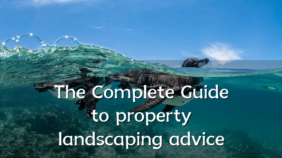 The Complete Guide to property landscaping advice
