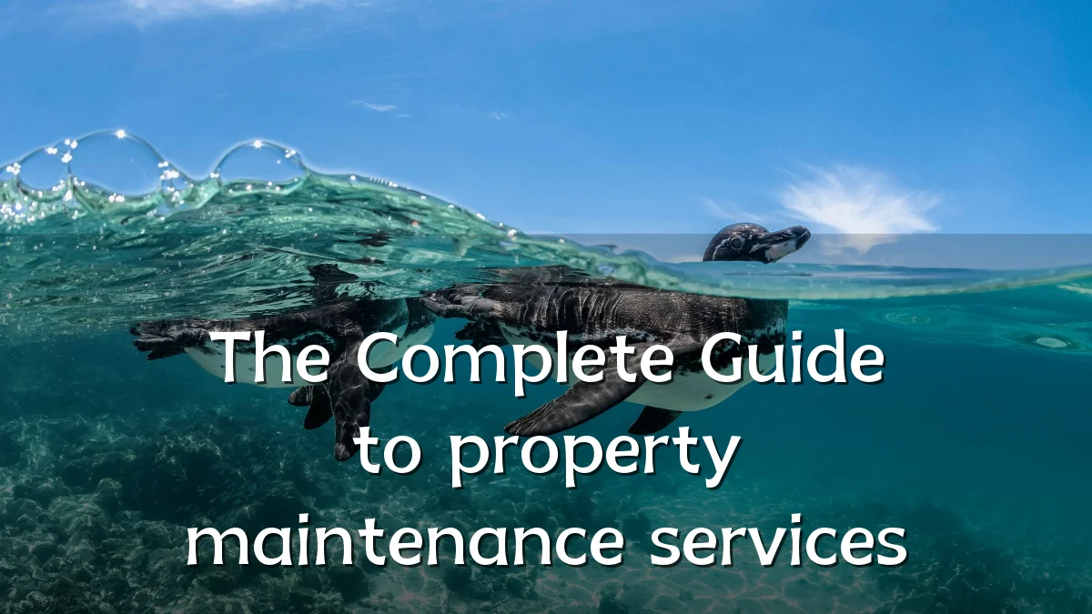 The Complete Guide to property maintenance services