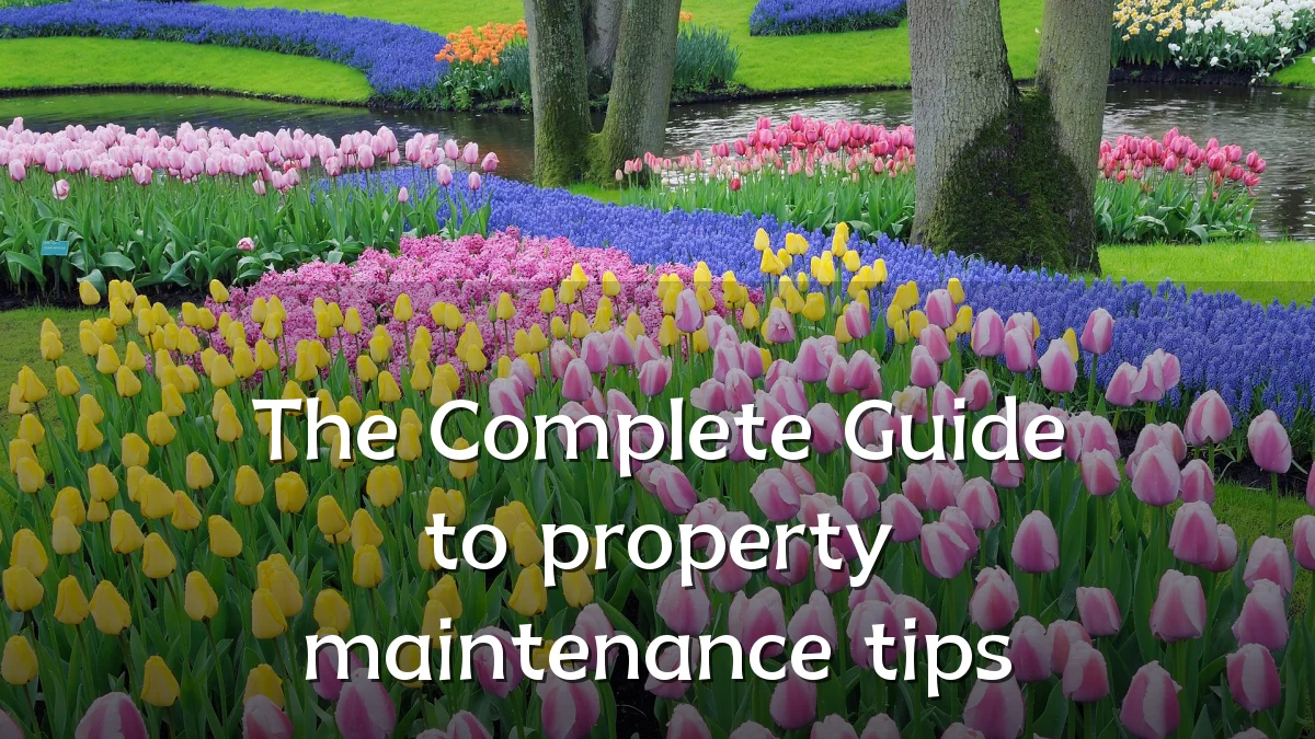 The Complete Guide to property maintenance tips