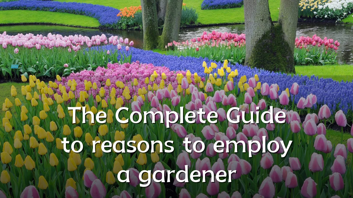 The Complete Guide to reasons to employ a gardener