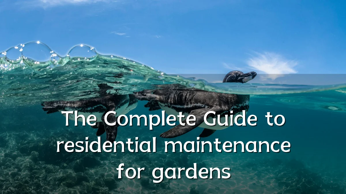 The Complete Guide to residential maintenance for gardens