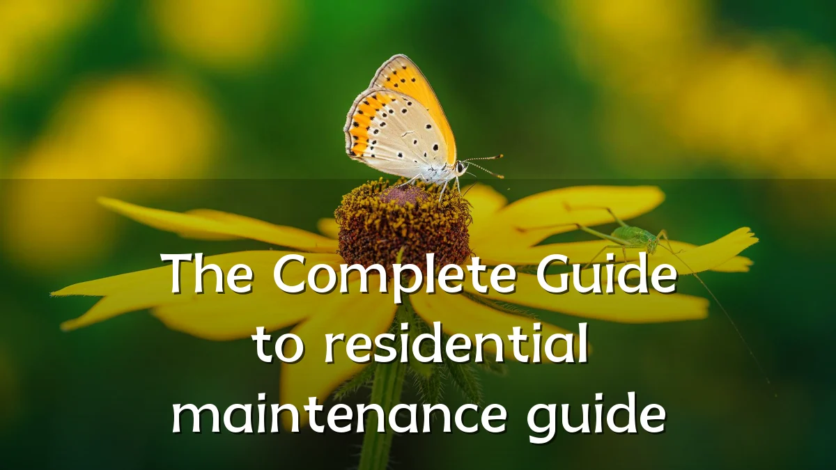 The Complete Guide to residential maintenance guide