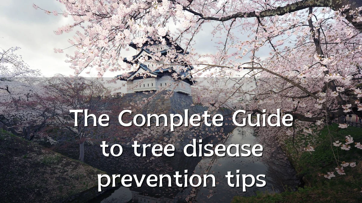The Complete Guide to tree disease prevention tips
