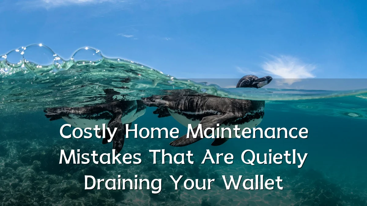 Costly Home Maintenance Mistakes That Are Quietly Draining Your Wallet