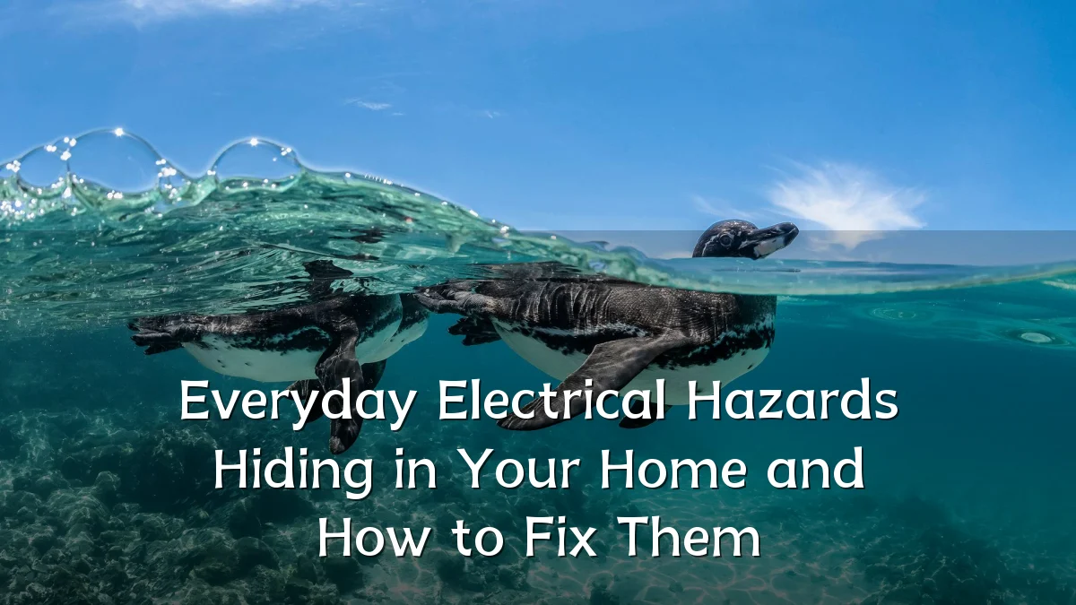 Everyday Electrical Hazards Hiding in Your Home and How to Fix Them