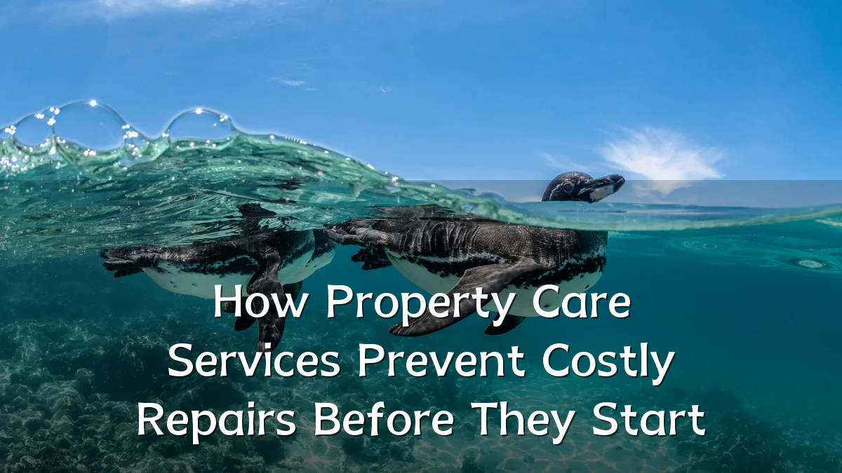 How Property Care Services Prevent Costly Repairs Before They Start