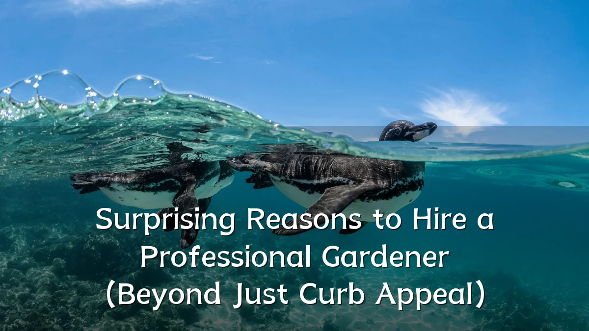 Surprising Reasons to Hire a Professional Gardener (Beyond Just Curb Appeal)