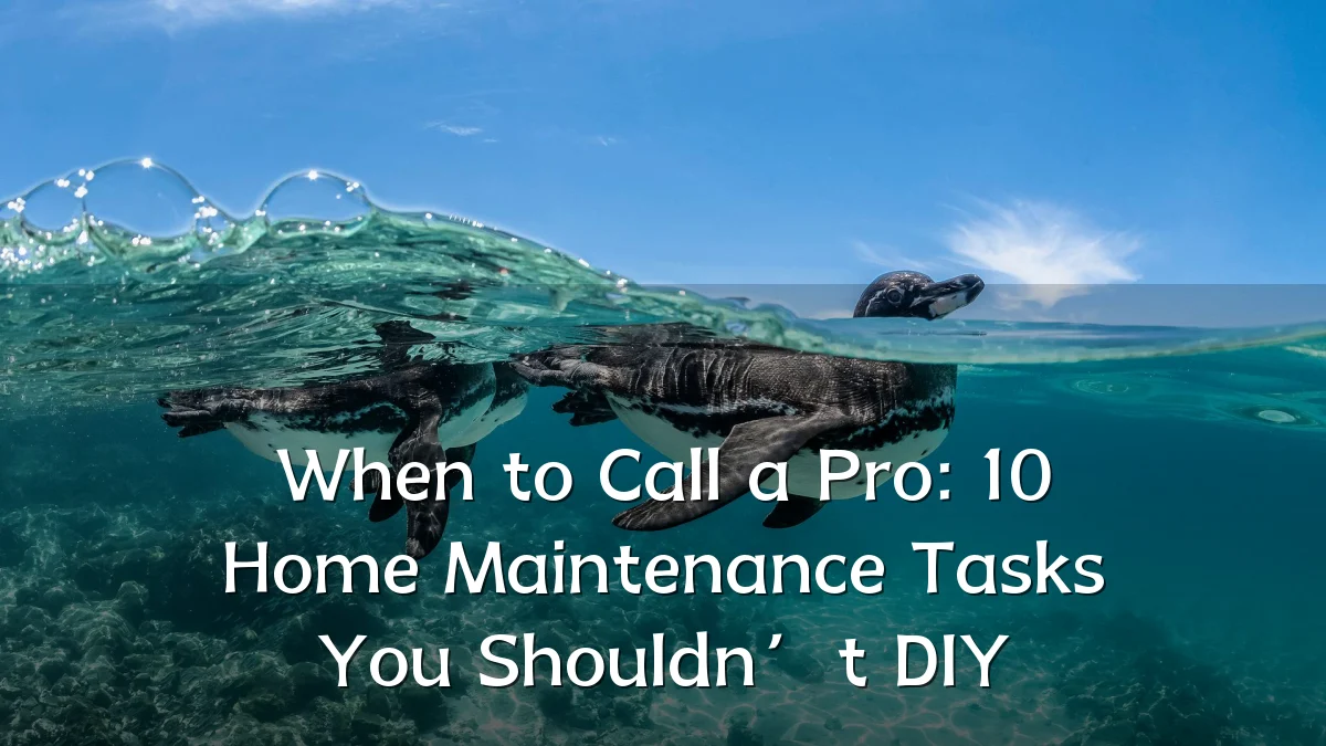 When to Call a Pro: 10 Home Maintenance Tasks You Shouldn’t DIY