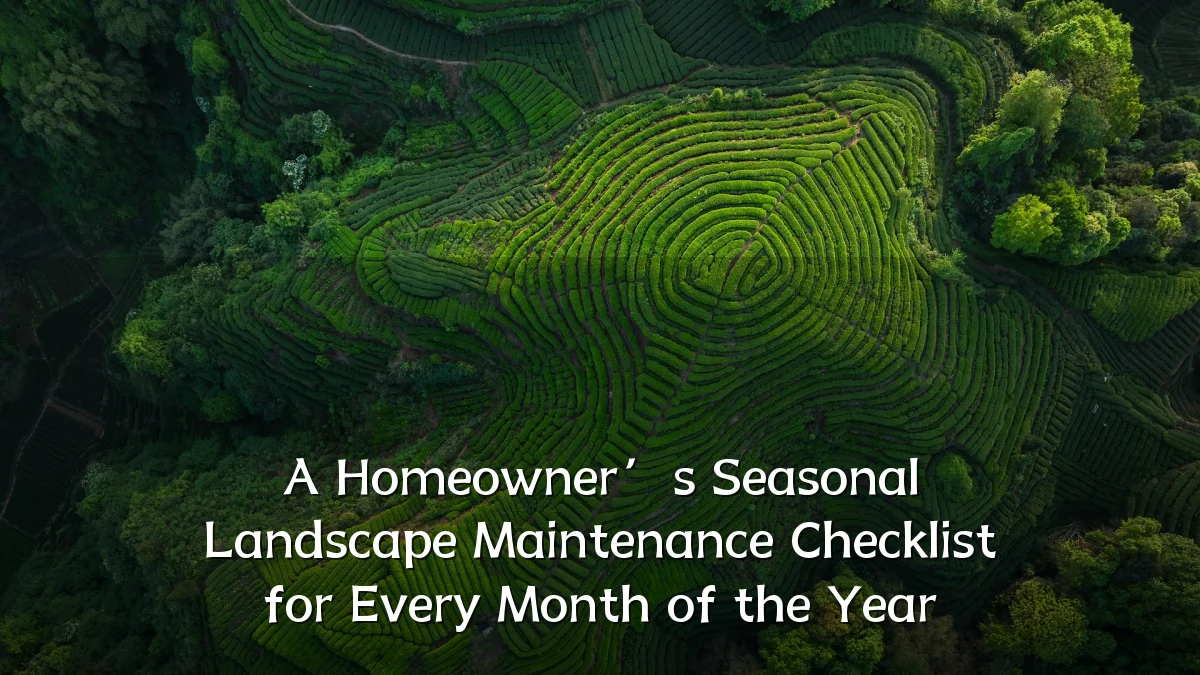 A Homeowner’s Seasonal Landscape Maintenance Checklist for Every Month of the Year