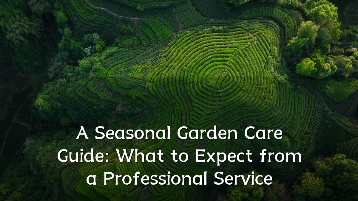 A Seasonal Garden Care Guide: What to Expect from a Professional Service