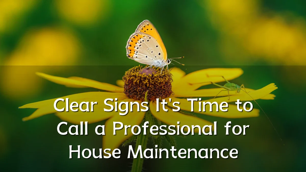 Clear Signs It's Time to Call a Professional for House Maintenance