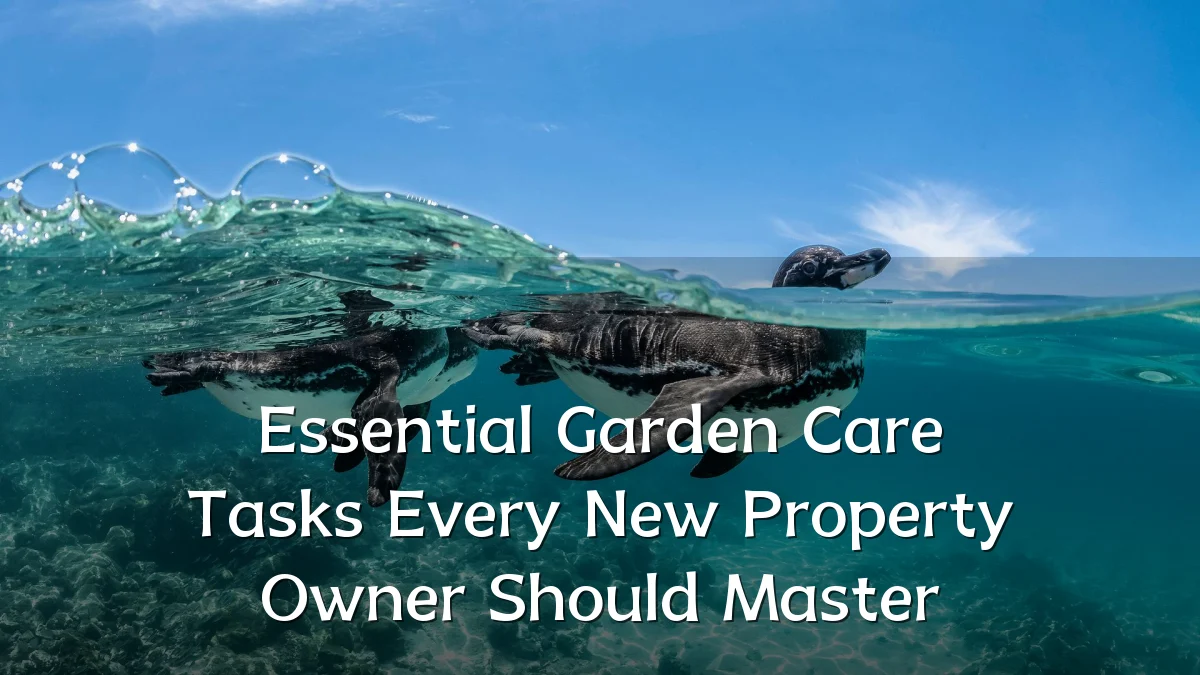 Essential Garden Care Tasks Every New Property Owner Should Master