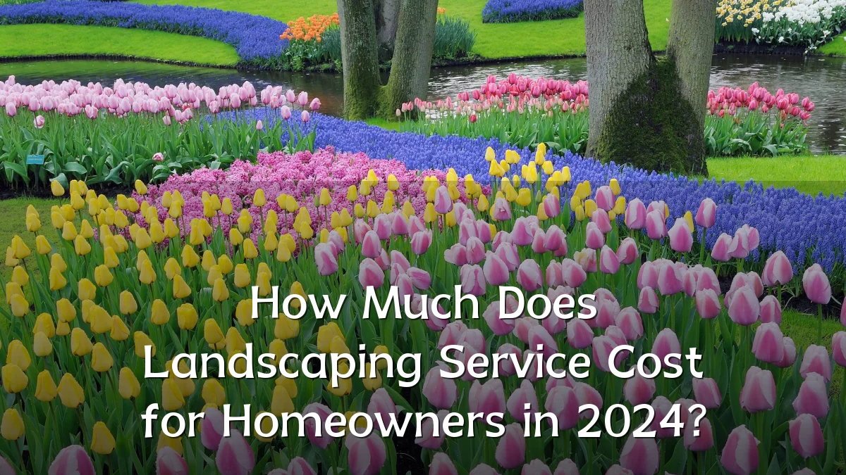 How Much Does Landscaping Service Cost for Homeowners in 2024?