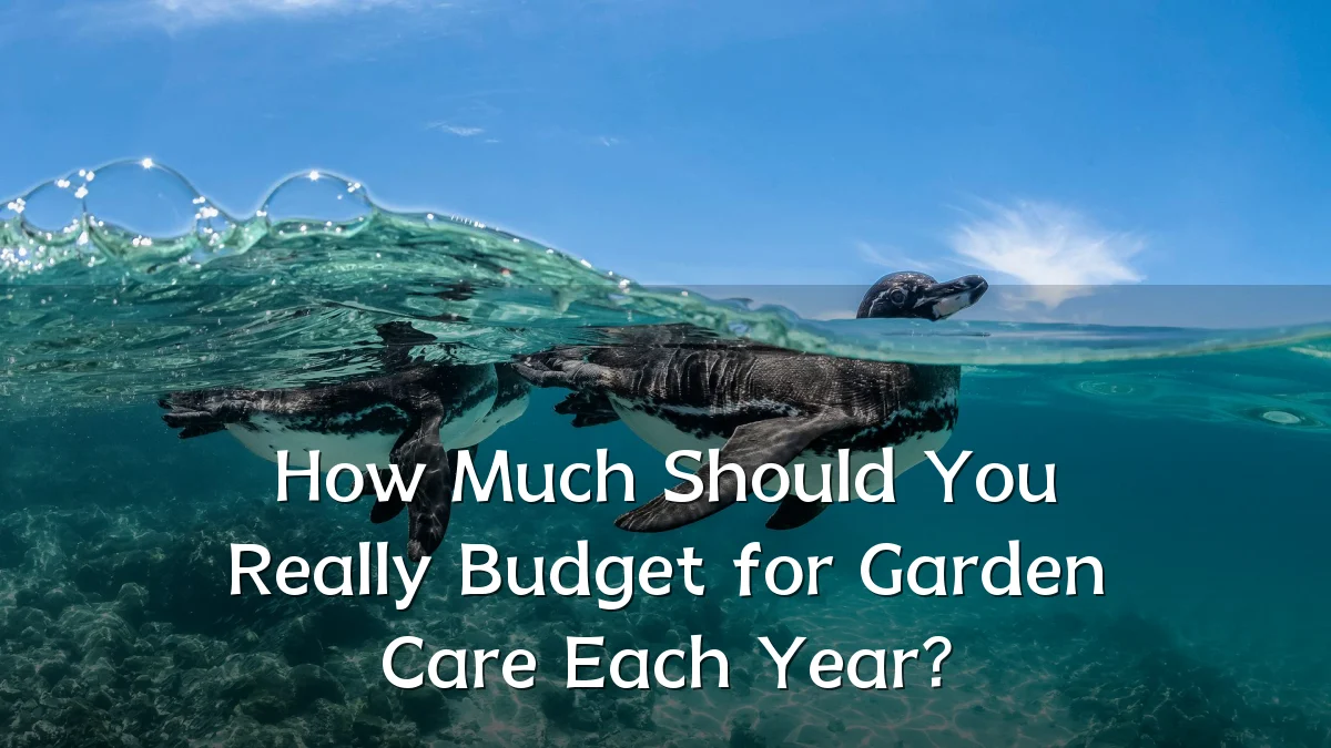 How Much Should You Really Budget for Garden Care Each Year?