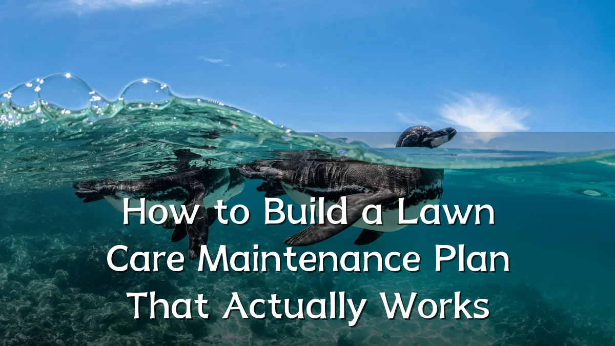 How to Build a Lawn Care Maintenance Plan That Actually Works