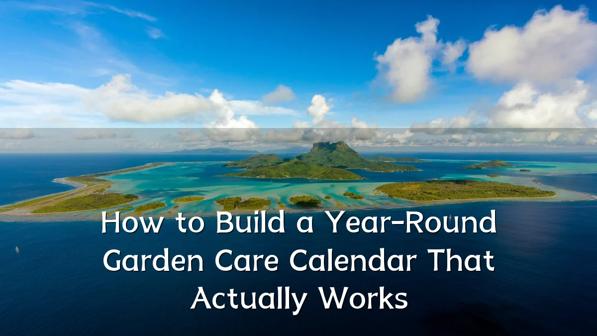How to Build a Year-Round Garden Care Calendar That Actually Works