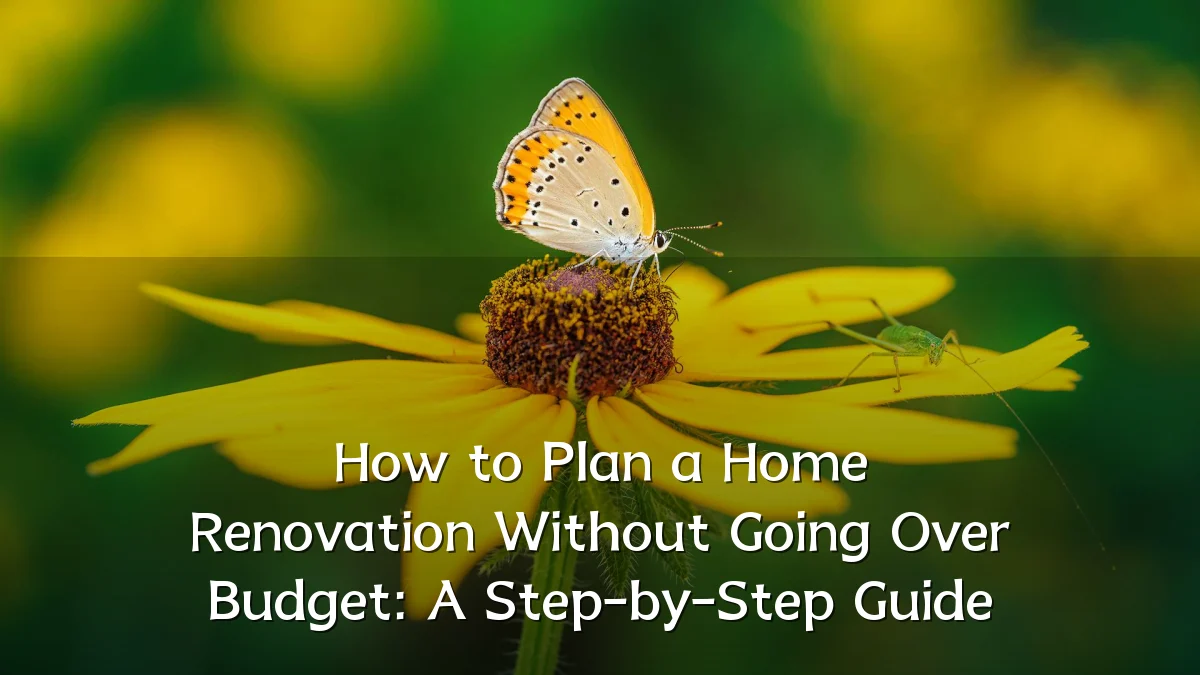How to Plan a Home Renovation Without Going Over Budget: A Step-by-Step Guide