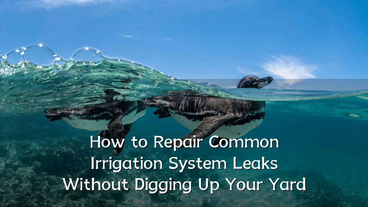 How to Repair Common Irrigation System Leaks Without Digging Up Your Yard